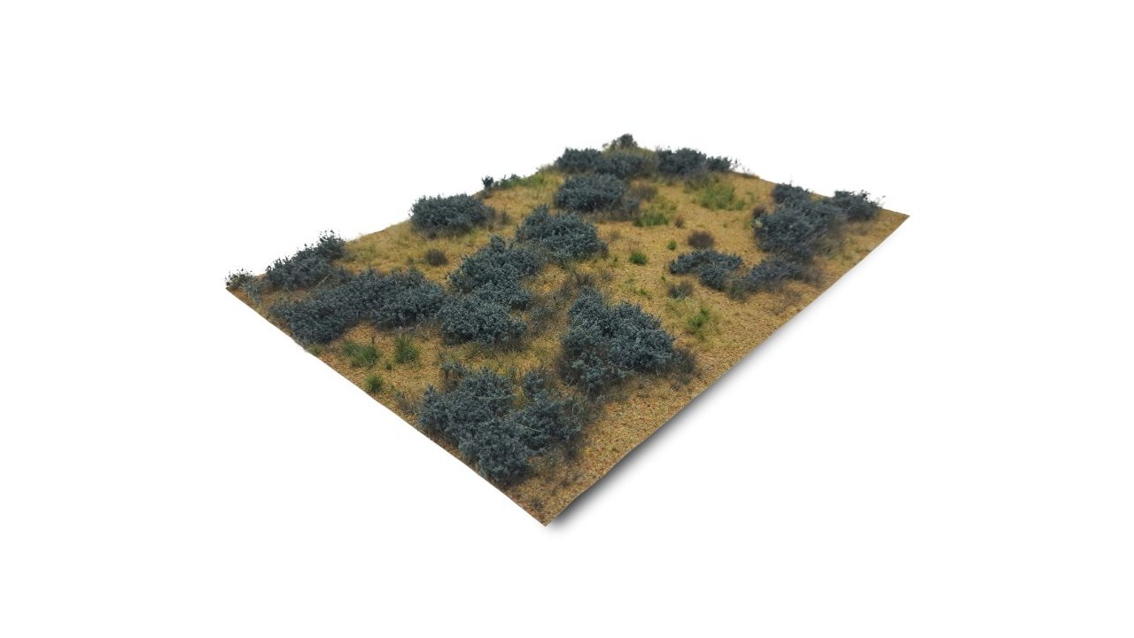 Desert with sagebrushes - type 2 (Medium)