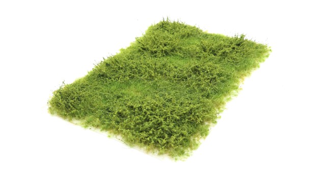 Wild verge with weeds spring 10-20 mm