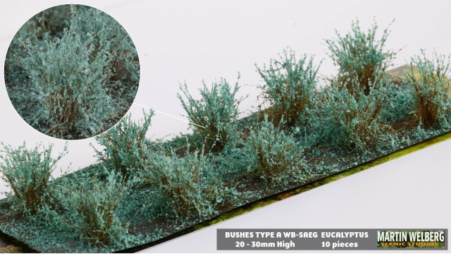 Bushes type A Eucalyptus Green