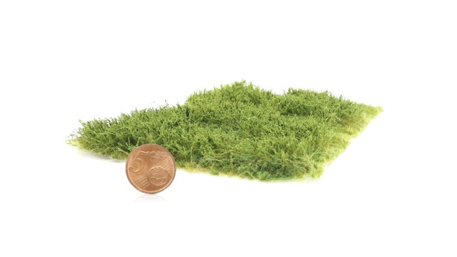 Wild verge with weeds summer 10-20 mm