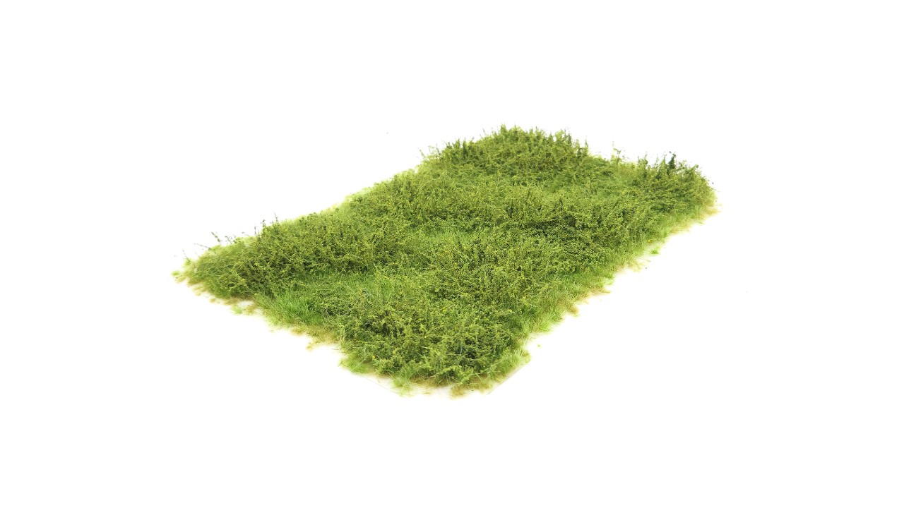 Wild verge with weeds autumn 10-20 mm