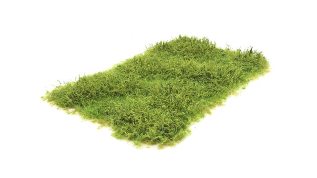 Wild verge with weeds autumn 10-20 mm