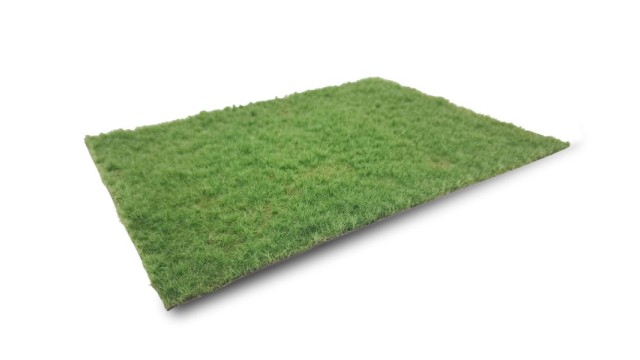 Pasture spring, long (Small)