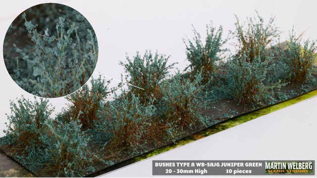 Bushes type A Juniper Green