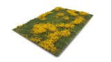 Meadow with marsh-marigolds (Small)