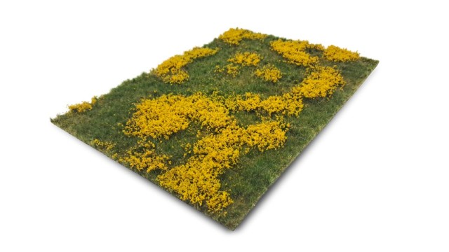Meadow with marsh-marigolds (Small)