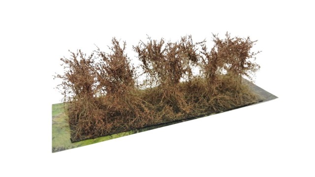Bushes type B Fall Brown