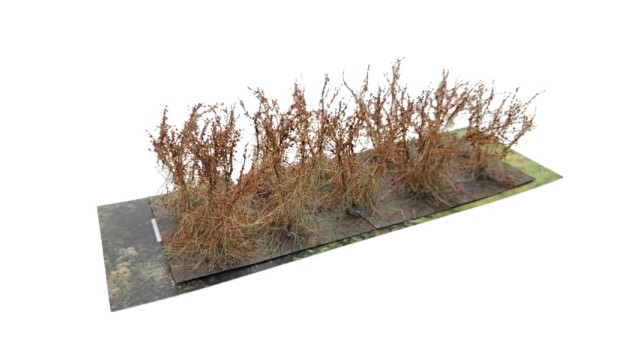 Bushes type C Fall Brown