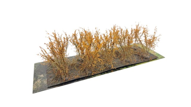 Bushes type C Orange Fall