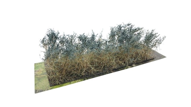 Bushes type C Sage Green