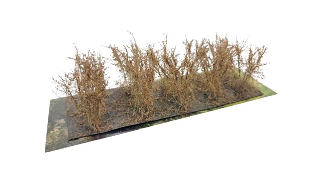 Bushes type C Sandstone Brown