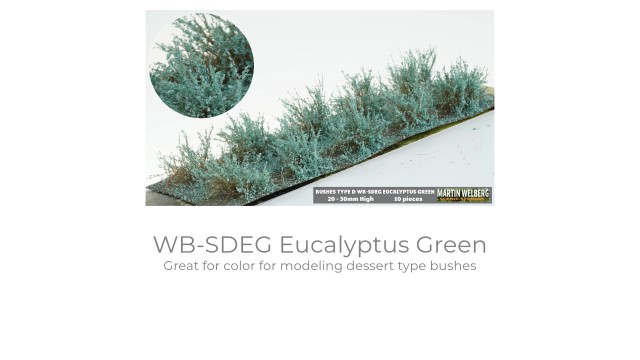 Bushes type D Eucalyptus Green