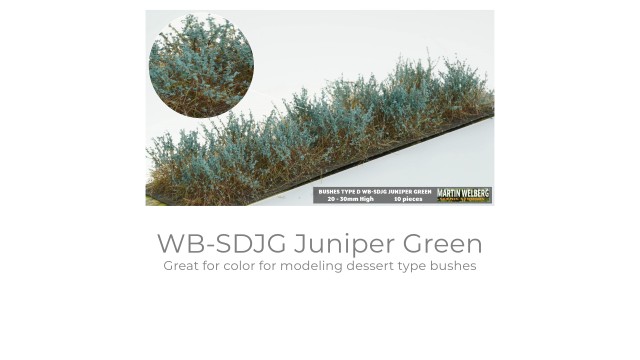 Bushes type D Juniper Green