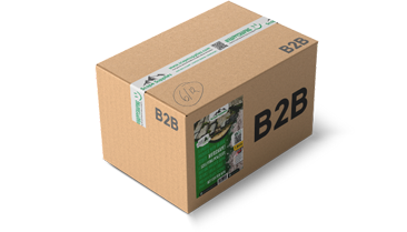 Vlogs - In ontwikkeling